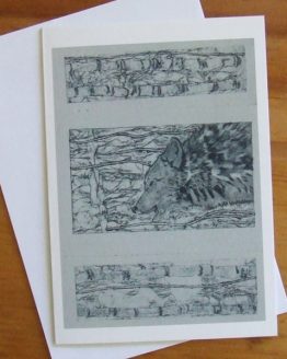 laquesabe-kim-banffy-cards-pre