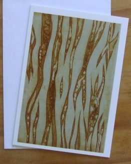 riversbark-kim-banffy-cards-pre