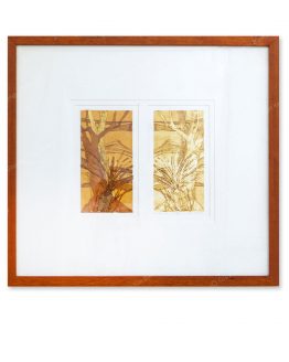 mtn-view-kim-banffy-orig-lge